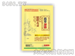 春成偉業 攜手共拓中藥材田除草新藍海——偉業通招商啟航