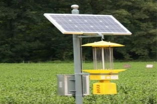 投資太陽能發(fā)電新藍(lán)海 2019年加盟和平陽光的成本解析與成功之道