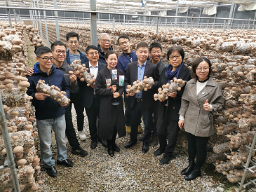 設施食用菌研發邁入智能化新階段——國家重點研發計劃課題中期檢查會暨香菇液體菌種現場會在豫召開